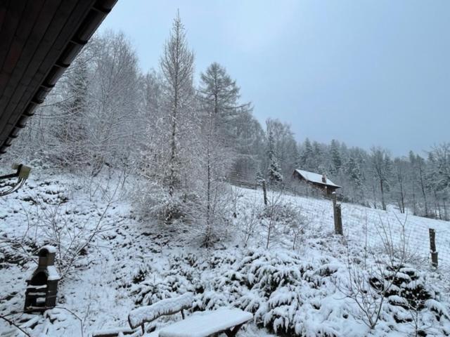 Villa Dom Na Wzgorzu - Brenna