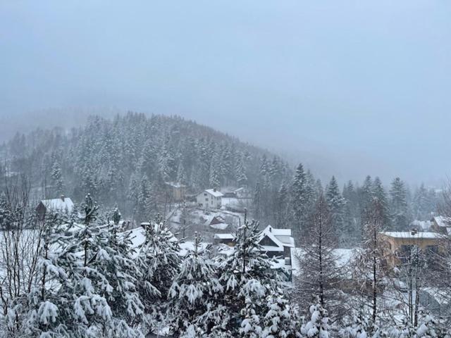 Villa Dom Na Wzgorzu - *
